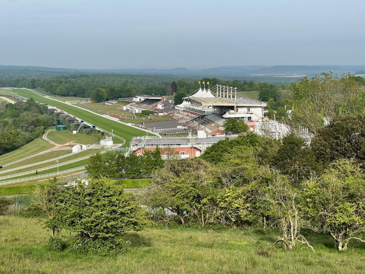 치체스터 Flint House - Goodwood Events B&B 외부 사진